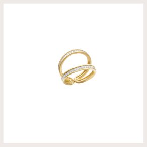 Anel-Vinculo-Precioso Anel-Vinculo-Precioso