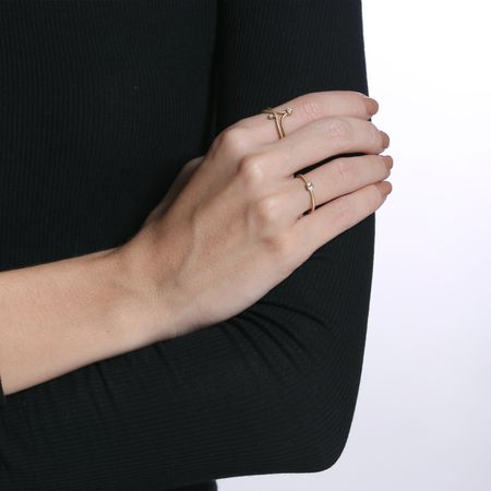 Anel-Primeiro-anel-com-diamante-alianca-dany-princess-diamante-anel-gaivota-1-diamante