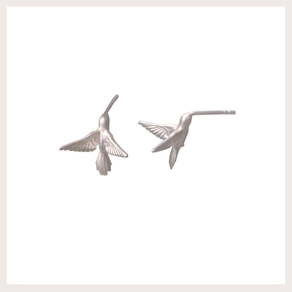 beija-flor beija-flor