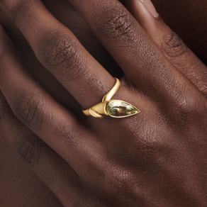 anel-snake-min anel-snake-min