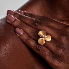 Anel-Bloom Anel-Bloom