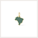 pingentebrasil